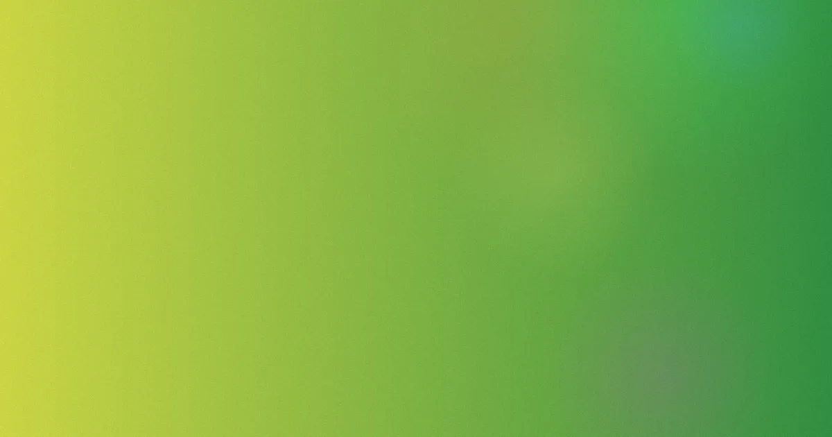 日韩午夜推荐：新手入门
